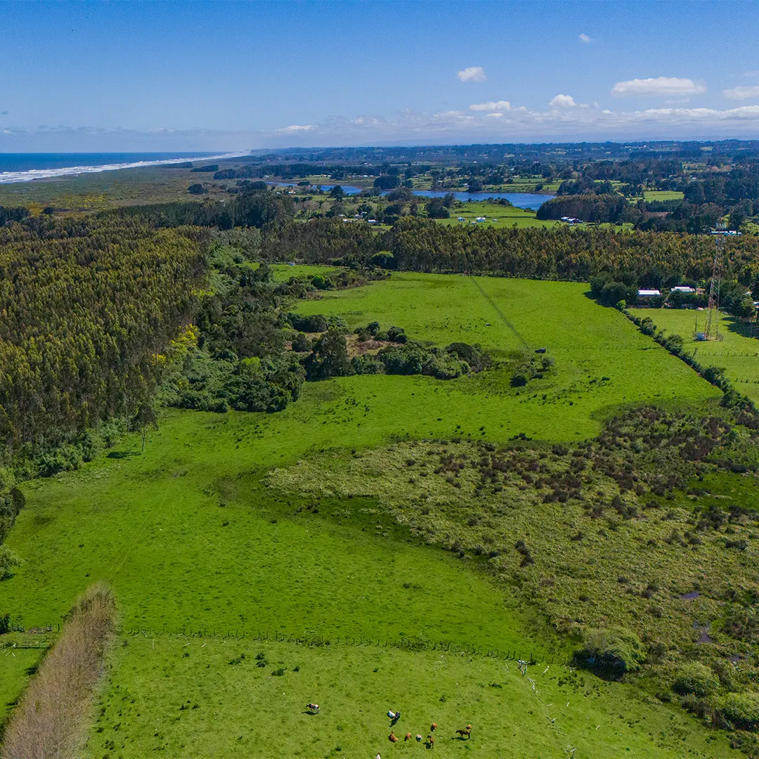 Vista aérea de praderas del sector de Porma II con el mar al fondo